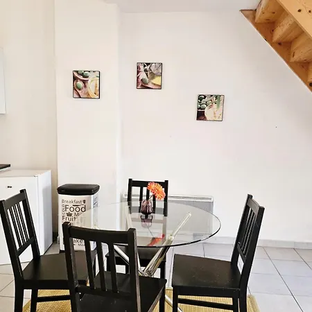 Le Heron Bleu - Proche Passerelle Et Cathedrale *