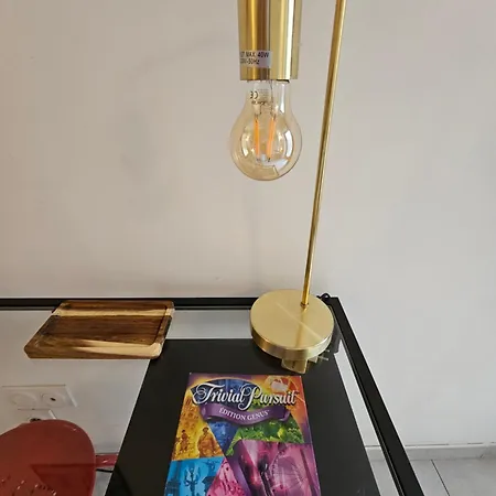 Le Heron Bleu - Proche Passerelle Et Cathedrale Albi