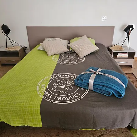 Le Heron Bleu - Proche Passerelle Et Cathedrale Albi