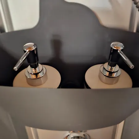 Le Heron Bleu - Proche Passerelle Et Cathedrale Albi