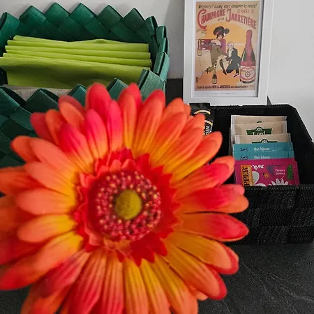 Le Heron Bleu - Proche Passerelle Et Cathedrale Apartment Albi