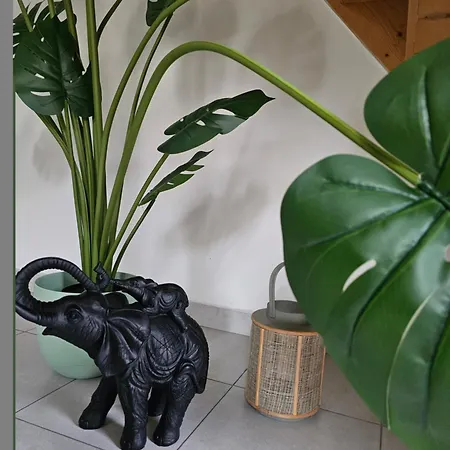 Le Heron Bleu - Proche Passerelle Et Cathedrale *